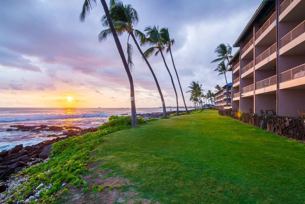 Hotel Kona Reef à Kailua-Kona Nature photo